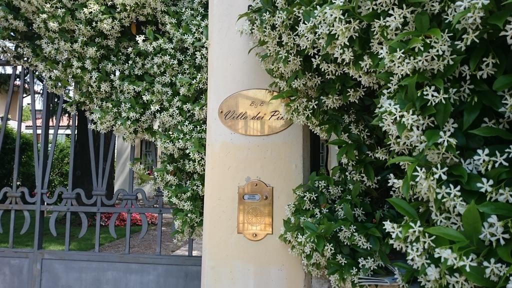 B&B Villa Dei Pini Domegliara エクステリア 写真