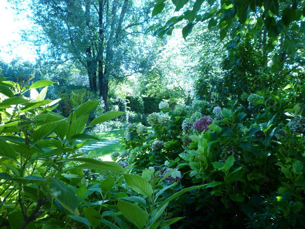 B&B Villa Dei Pini Domegliara エクステリア 写真