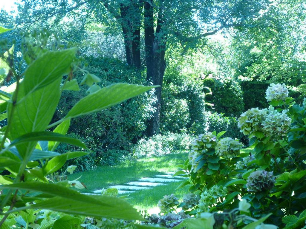 B&B Villa Dei Pini Domegliara エクステリア 写真
